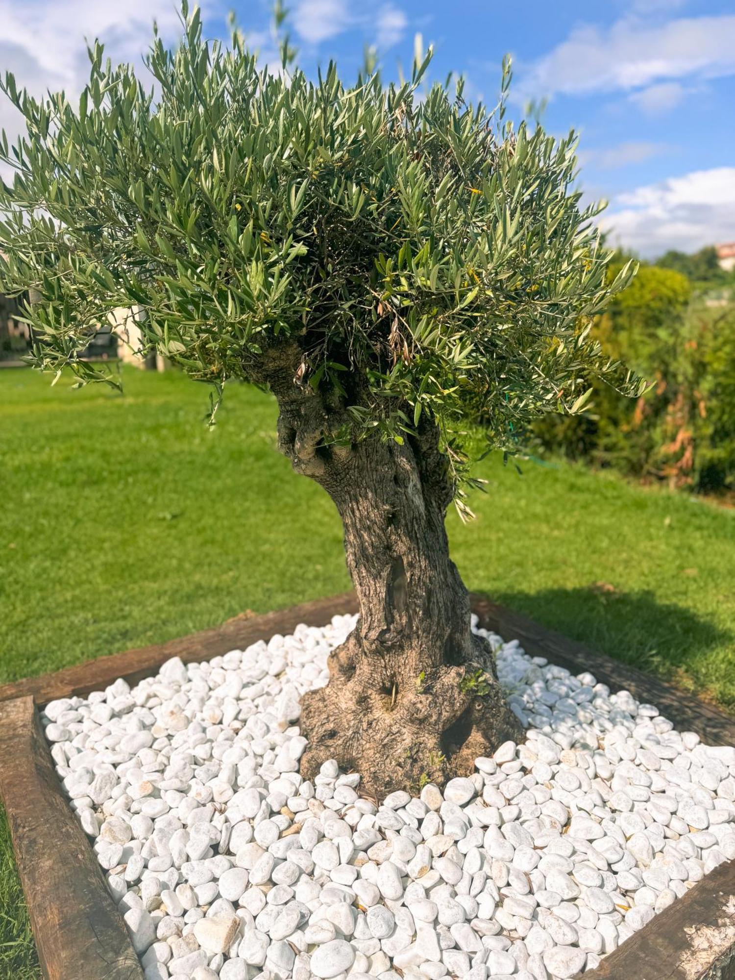 Villa Adina Sanxenxo - Rias Baixas Extérieur photo